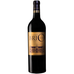 BRIO DE CANTENAC BROWN 2019